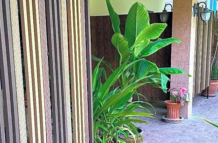 Suan Maitrichit Hotel